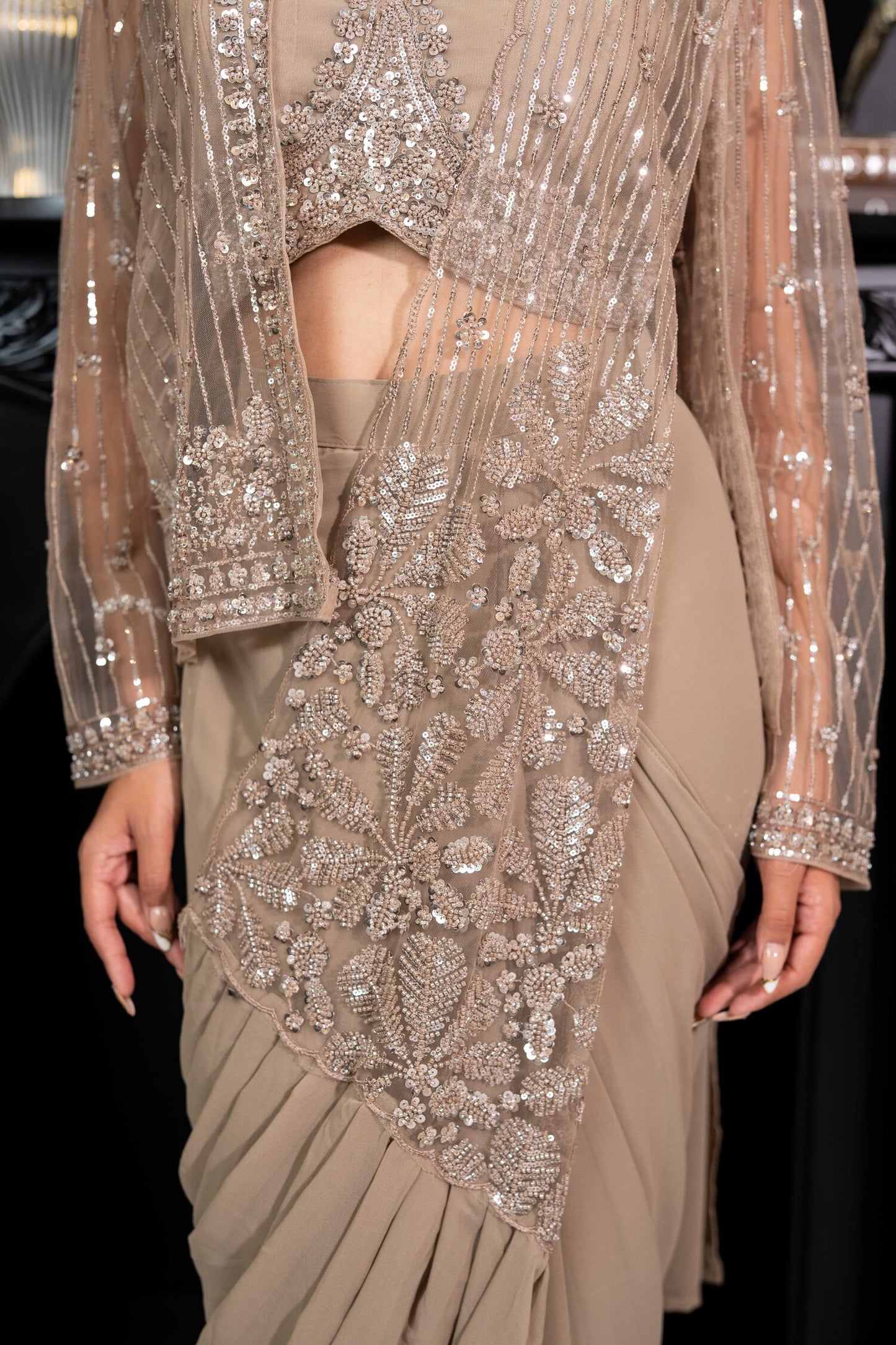 Moon Dust Embellished Draped Saree Set