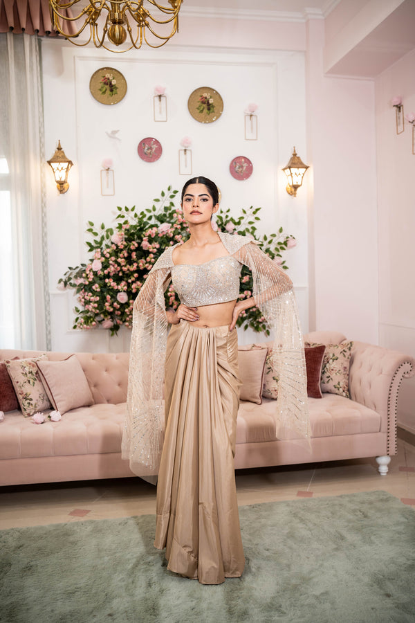 Champagne Stardust Drape Saree