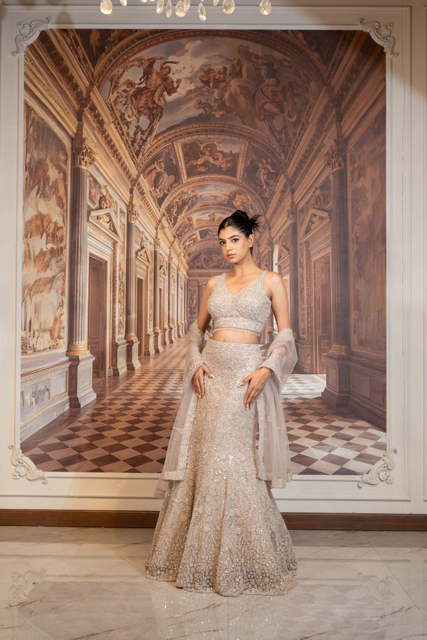 Moonbeam Reverie Lehenga